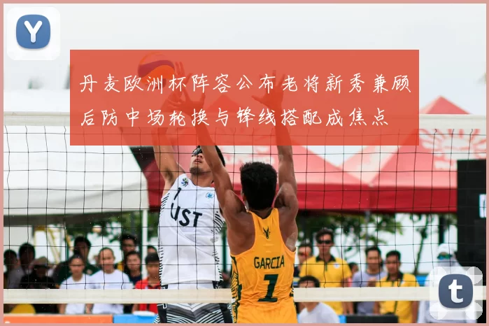 丹麦欧洲杯阵容公布老将新秀兼顾后防中场轮换与锋线搭配成焦点