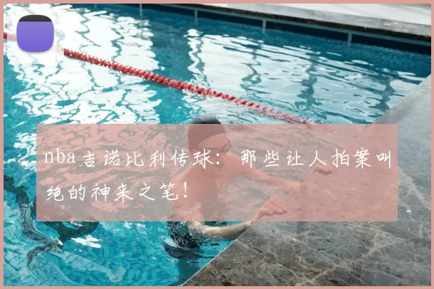 nba吉诺比利传球:那些让人拍案叫绝的神来之笔!