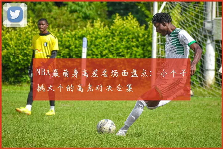 NBA最萌身高差名场面盘点：小个子挑大个的高光对决合集