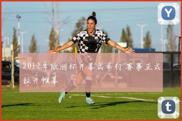 2012年欧洲杯开幕式举行 赛事正式拉开帷幕