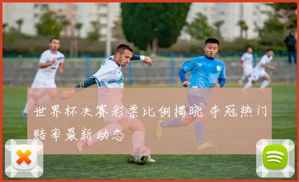 世界杯决赛彩票比例揭晓 夺冠热门赔率最新动态